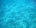 fiji2005_059.jpg