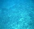 fiji2005_060.jpg