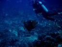 fiji2005_073.JPG