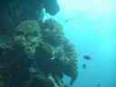 fiji2005_173.JPG