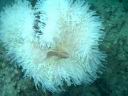 fiji2005_175.JPG