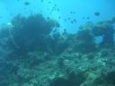 fiji2005_187.JPG