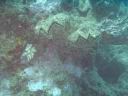 fiji2005_188.JPG