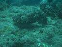 fiji2005_190.JPG