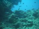 fiji2005_197.JPG