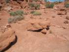 arches047_small.jpg