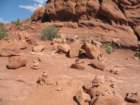 arches048_small.jpg