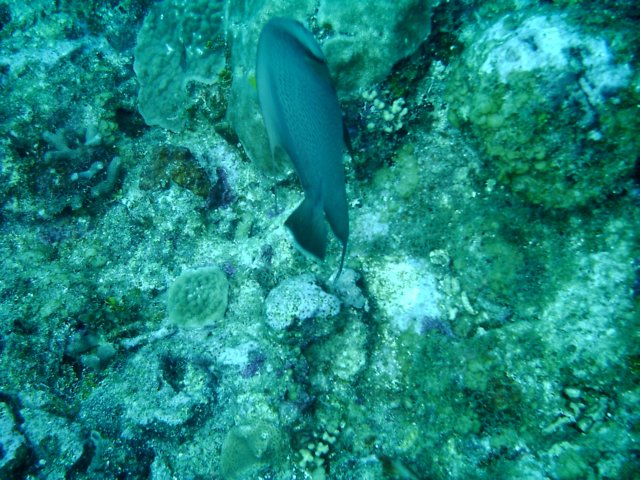 sea004.jpg