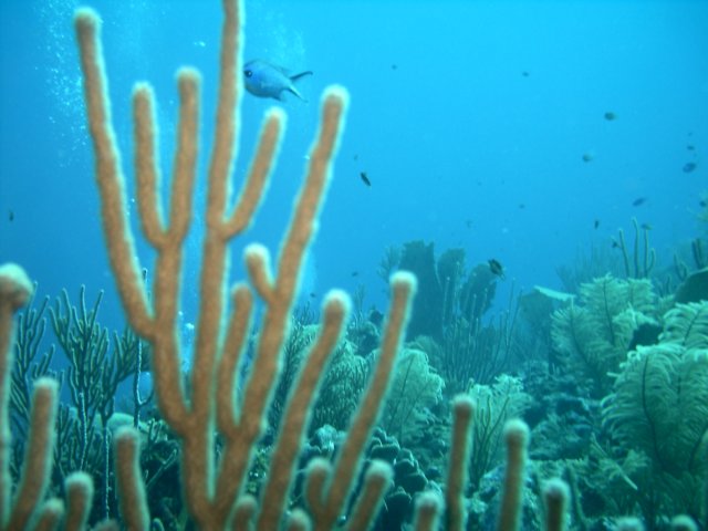 sea009.jpg