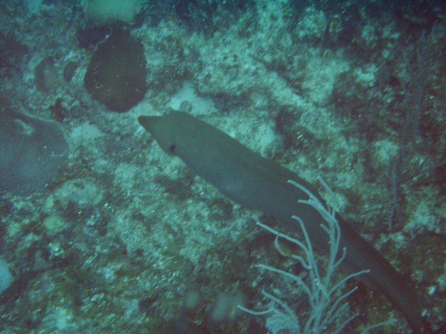 sea015.jpg