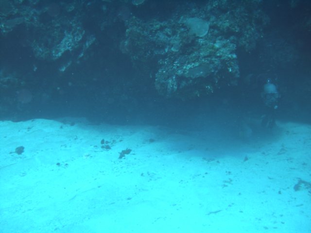 sea018.jpg