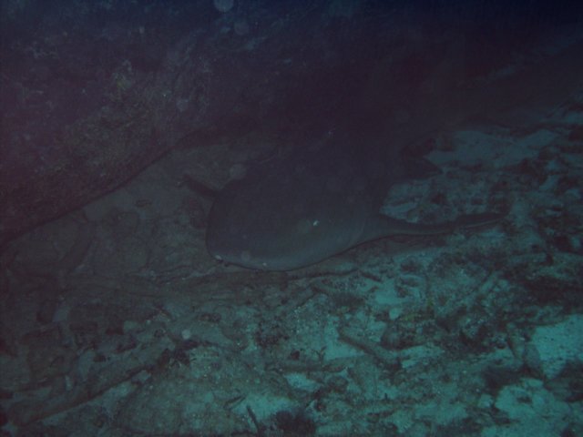 sea021.jpg