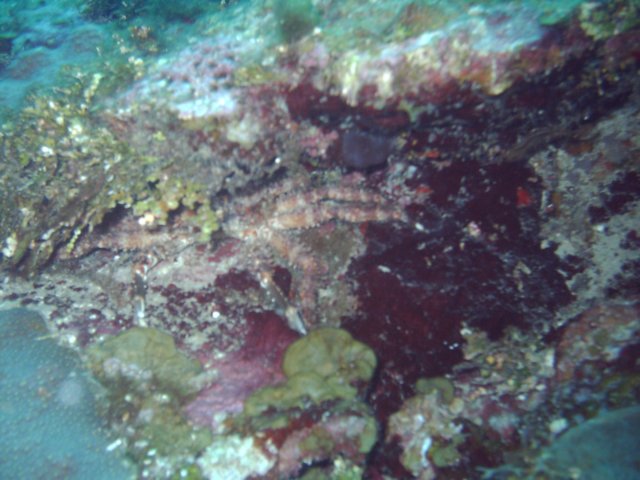 sea027.jpg