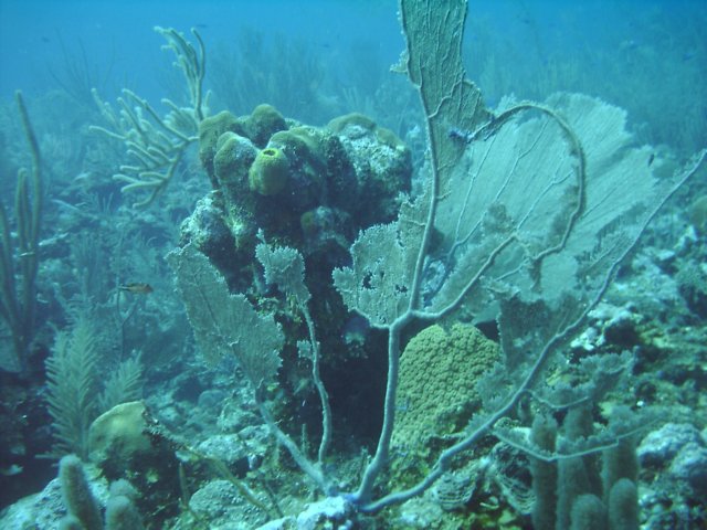 sea028.jpg