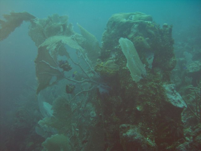 sea042.jpg