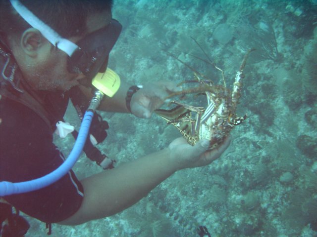 sea044.jpg