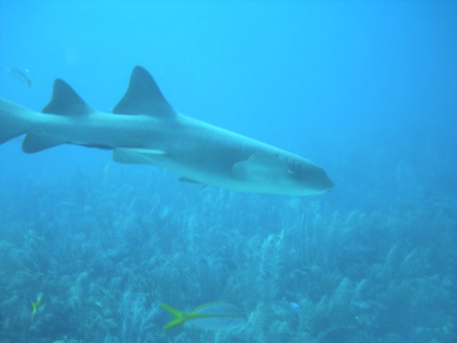 sea048.jpg