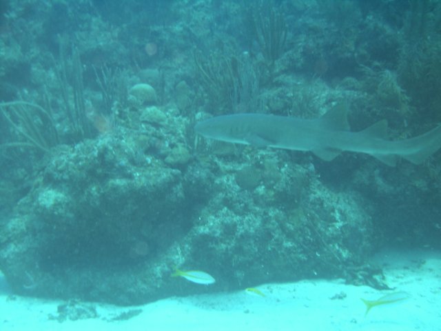 sea059.jpg
