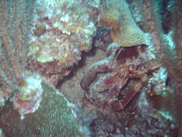 sea062.jpg