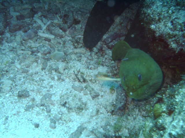 sea064.jpg