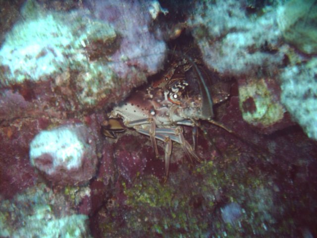 sea071.jpg