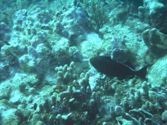 sea080.jpg