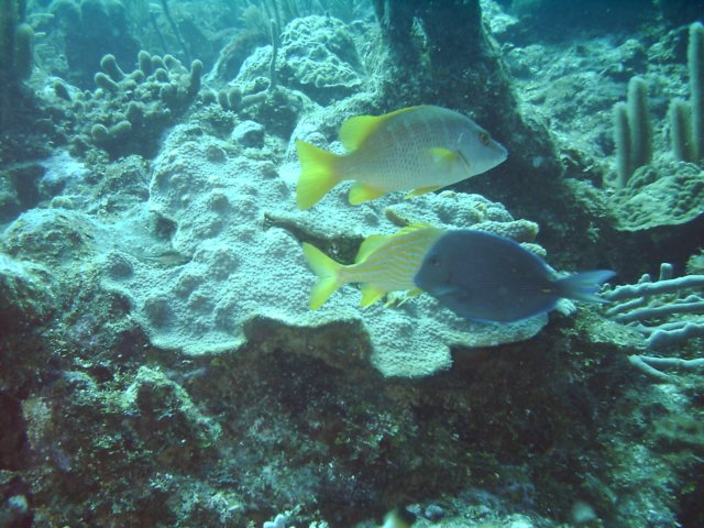 sea083.jpg