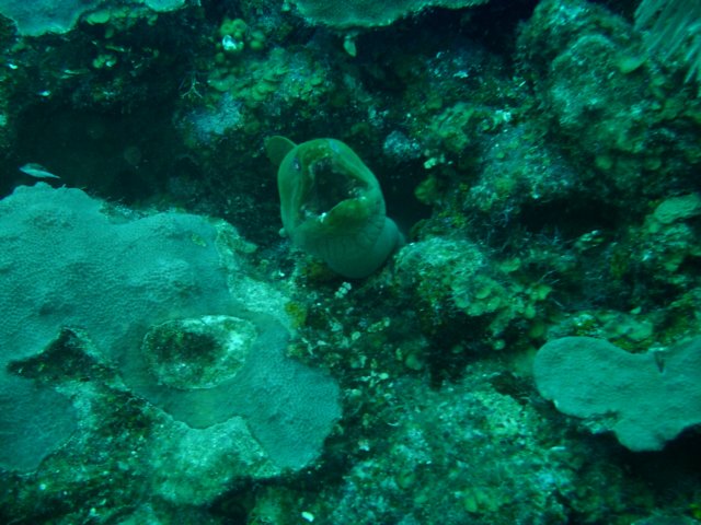 sea088.jpg