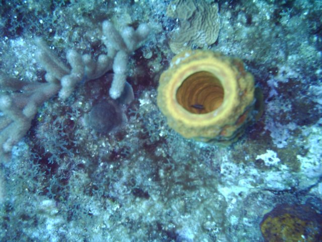 sea091.jpg