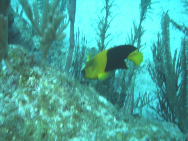 sea095.jpg
