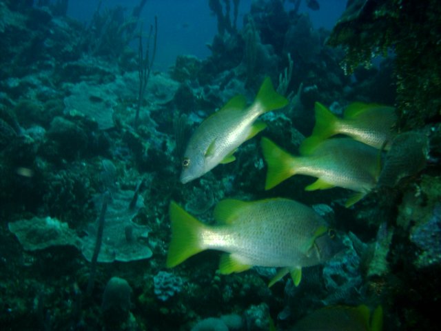sea099.jpg