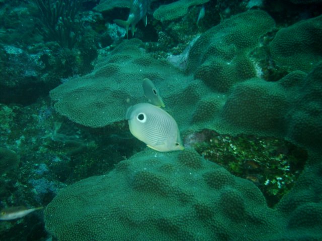 sea108.jpg