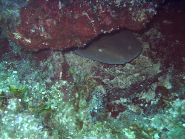 sea112.jpg