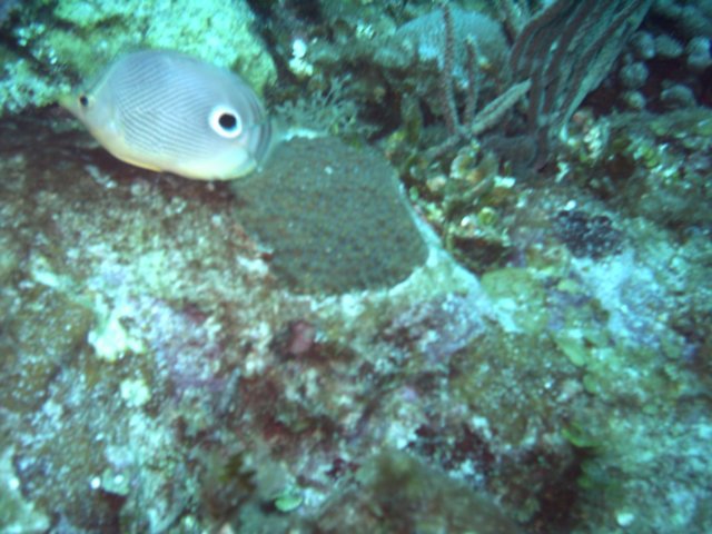sea123.jpg