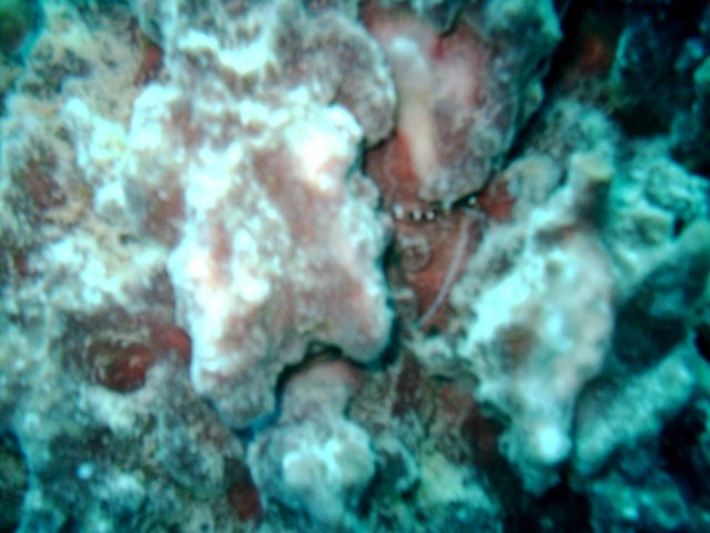 sea143.jpg
