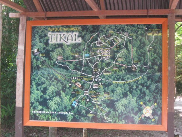 tikal24.jpg