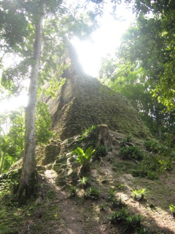 tikal29.jpg