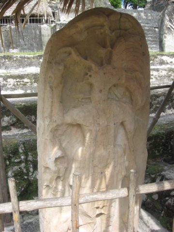 tikal52.jpg