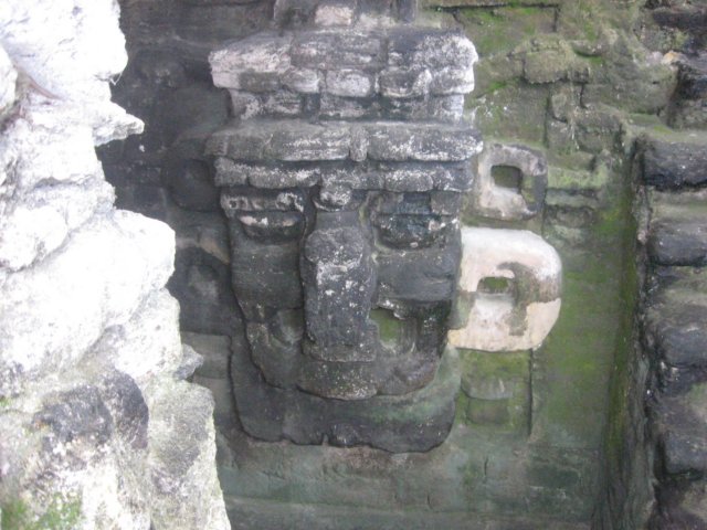 tikal53.jpg