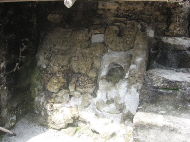 tikal56.jpg