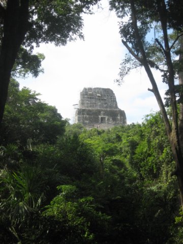 tikal68.jpg