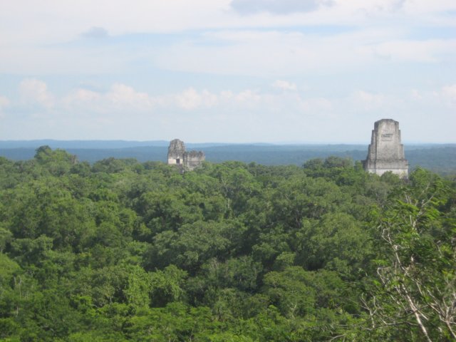 tikal71.jpg