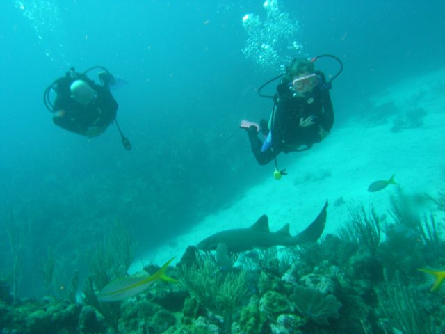 diveshop03.jpg