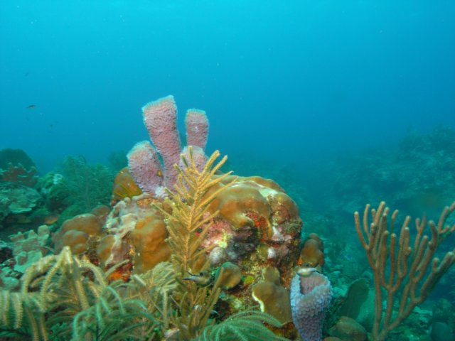 diveshop12.jpg