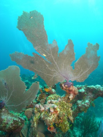 diveshop14.jpg