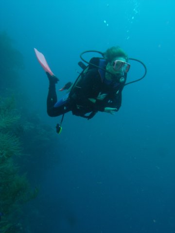 diveshop18.jpg