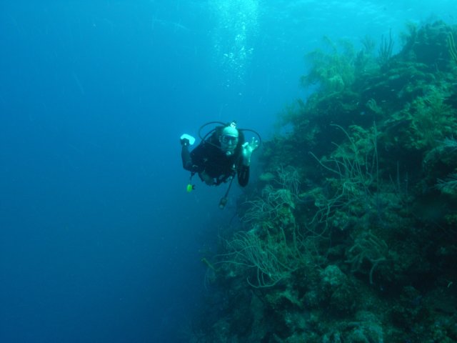 diveshop21.jpg
