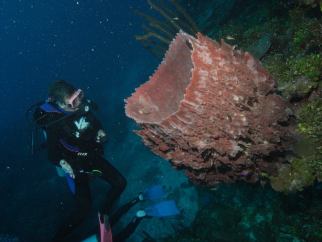 diveshop23.jpg