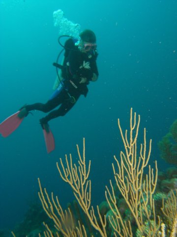 diveshop25.jpg