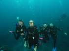 diveshop29_small.jpg